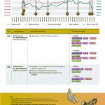 INDONESIA’S BBM PRICE FORMULATION